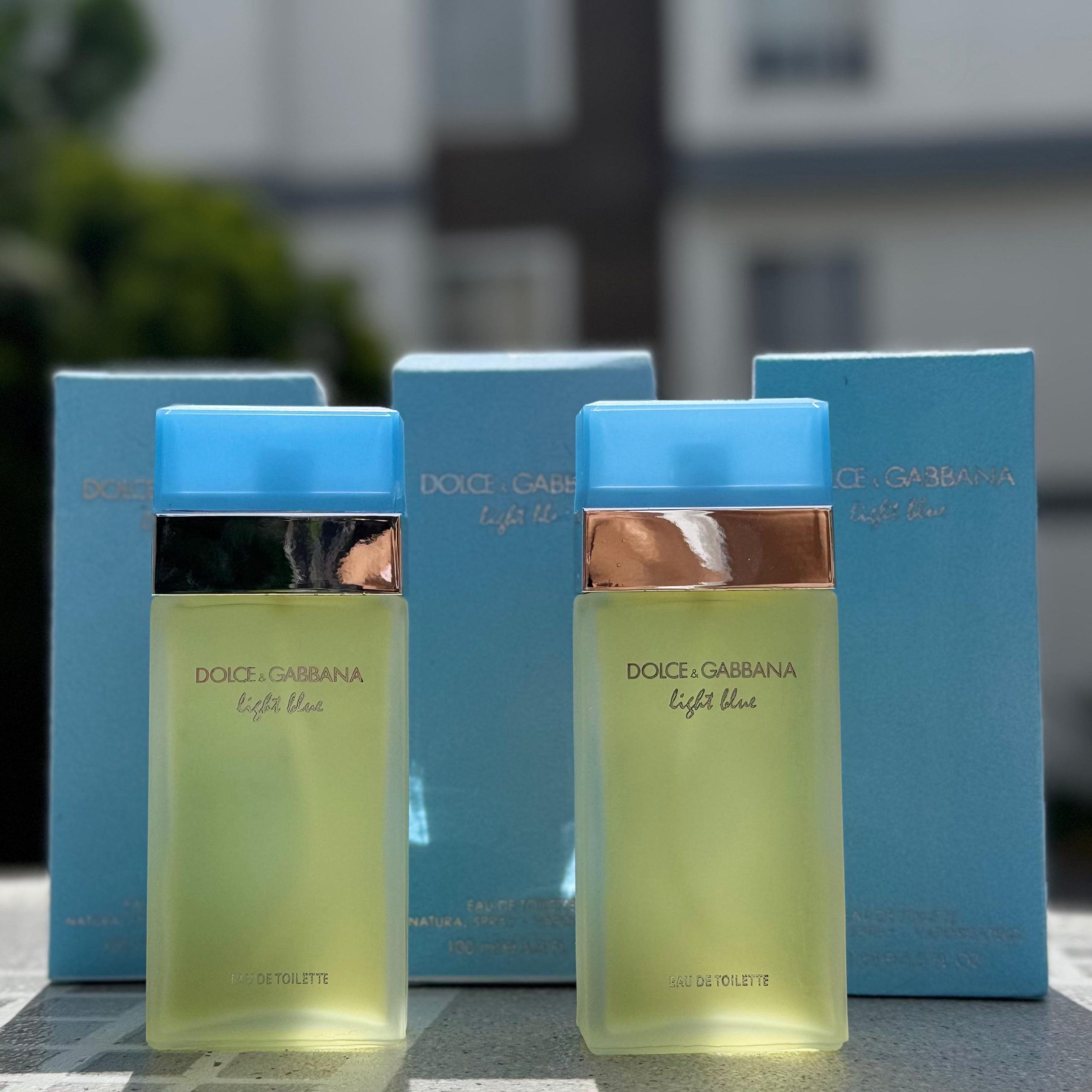 303ff0ac-39da-4bc4-8b58-cbdddec6acd6