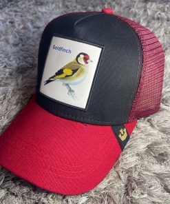 Gorra 3.0 Gorin Negra Goldfinch