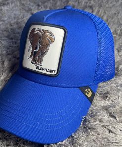 Gorra 3.0 Gorin Azul Elephant