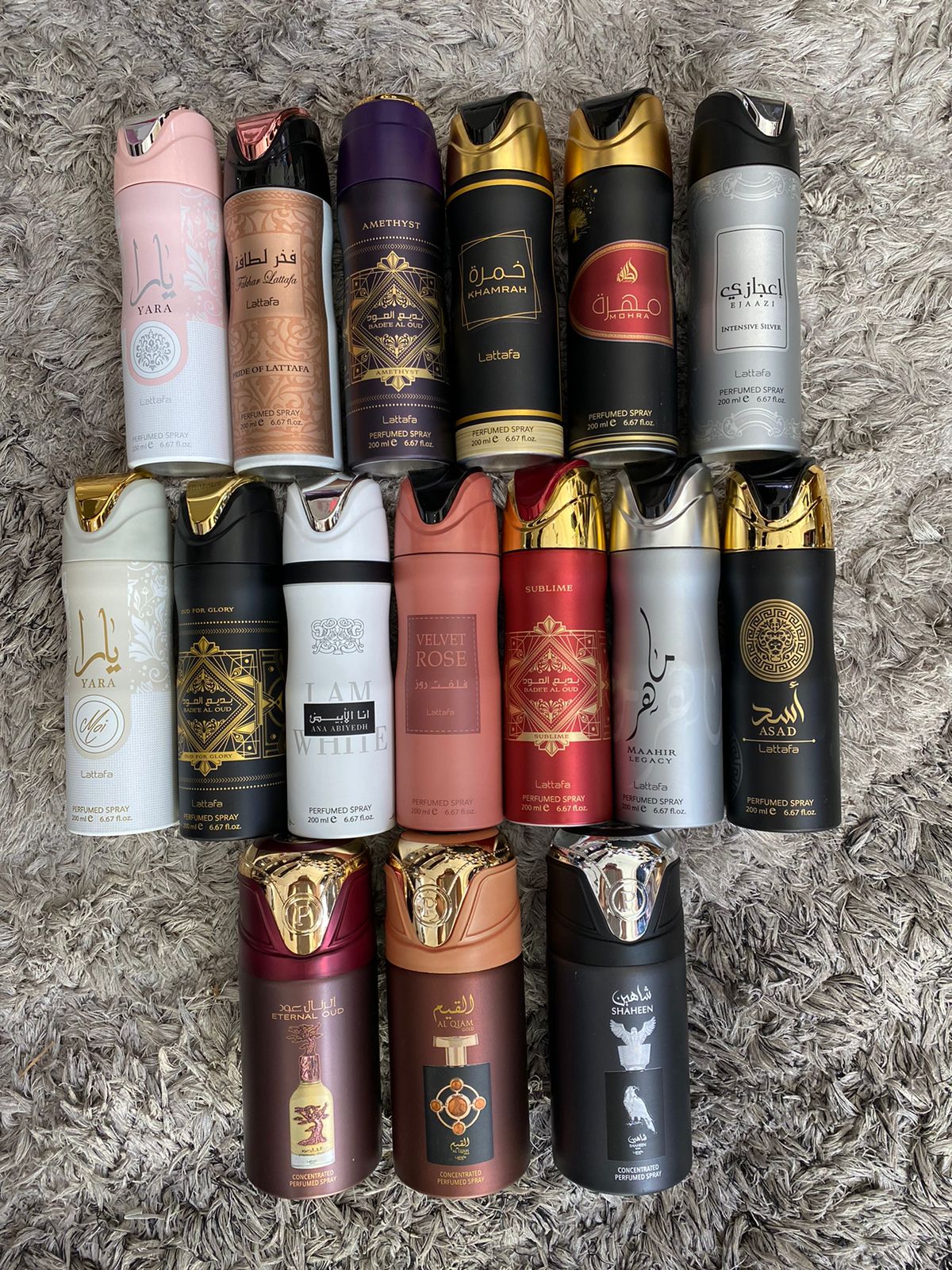 WhatsApp Image 2024-07-02 at 10.51.19 AM