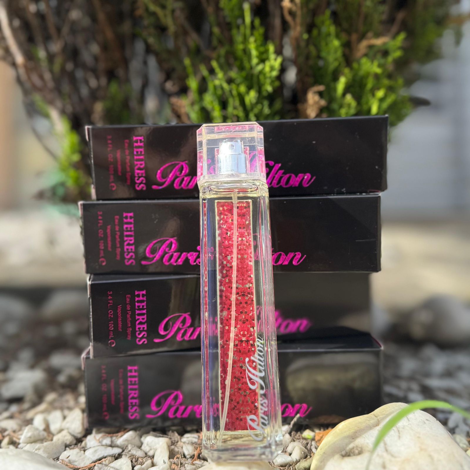 WhatsApp Image 2025-09-05 at 10.23.50 AM (1)