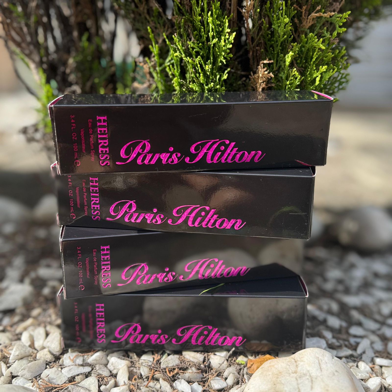 WhatsApp Image 2025-09-05 at 10.23.50 AM (2)