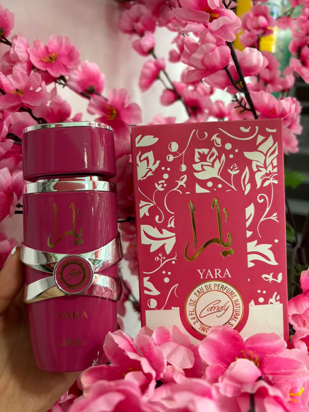 WhatsApp Image 2024-11-21 at 11.40.36 AM