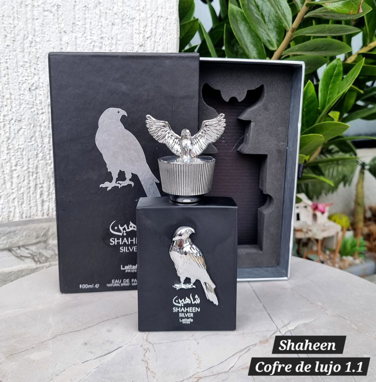 WhatsApp Image 2024-12-22 at 4.09.26 PM (1)