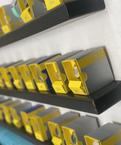 QyQ Dama y Caballero