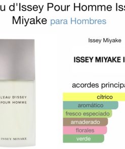 EXTRACTO ISSEY MIYAKE MEN
